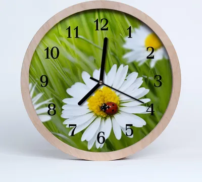 Produktbild von Holzuhr 30fi cm wanduhr - Gänseblümchen Blumen