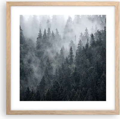 Produktbild von Gerahmtes Poster - Rahmen in heller Eiche - Wald Baum Natur - 40x40 cm - Wand Bild - Wanddeko - Wandbilder - Kunstposter - Wandposter - Bilderrahmen - Bilder - Kunstdruck - Wandbild - P2NAC40x40-4074