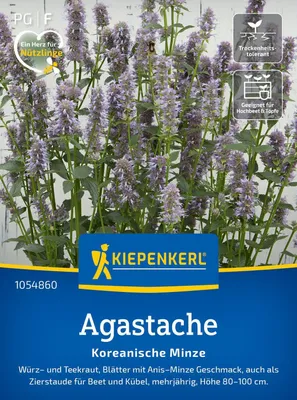 Produktbild von Kiepenkerl Saatgut Koreanische Minze für ca. 100 Pflanzen