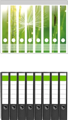 Produktbild von Wallario 8 Stück schmale Ordner inkl. Klebeetiketten mit Motive Pusteblume Nahaufnahme -  Set mit Rückenschildern / Ordnerrücken Stickern