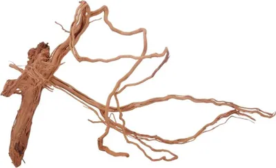 Produktbild von L Drachen Wurzel Nr.3192 Holz Deko Aquascaping