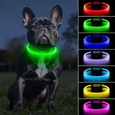 Productafbeelding van Lichtgevende halsband voor honden - oplaadbaar via USB - 7 kleuren en 9 lichtmodi - 70 cm op maat te knippen