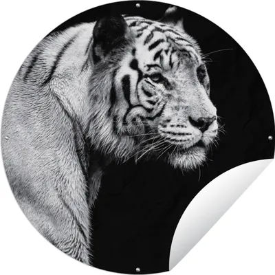Produktbild von MuchoWow® Gartenposter Outdoor-Poster Rund Tierprofil Tiger in schwarz und weiß Ø 60 cm Gartendeko Rundes Poster draußen