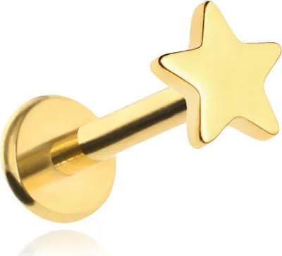 Produktbild von Titan Labret Ohrring - Stern - Gold 1,2/8/4