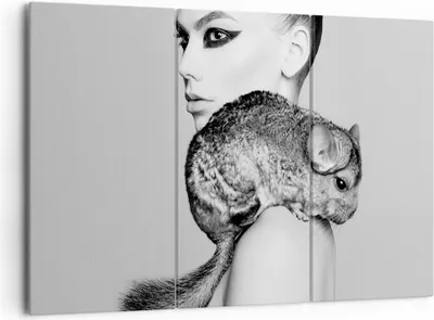 Produktbild von Bild auf Leinwand - Leinwandbild - 3 Teile - Chinchilla Frau Porträt - 165x110cm - Wand Bild - Wanddeko - Wandbilder - Leinwanddruck - Bilder - Wanddekoration - Leinwand bilder - CE165x110-4278