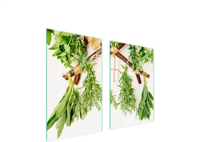Obrázok produktu pre Sklenená Ochranná Tabuľa Do Kuchyne 65X52 Herbs