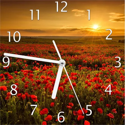 Produktbild von Wallario Design Wanduhr Mohnblumenwiese bei Sonnenuntergang am Abend aus Echtglas, Größe 20 x 20 cm