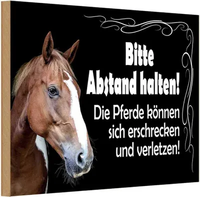 Produktbild von vianmo Holzschild 12x18 cm bitte Abstand halten Pferde Warnschild Hinweisschild