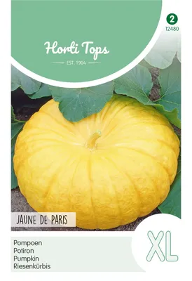 Produktbild von Riesenkürbis Jaune de Paris | Riesenkürbissamen von Hortitops