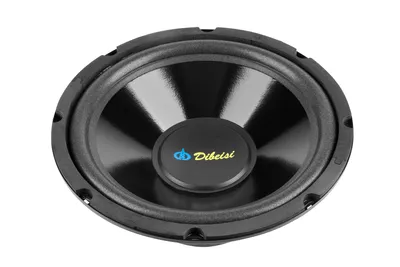 Image de Haut-parleur encastrable Dibeisi 10"