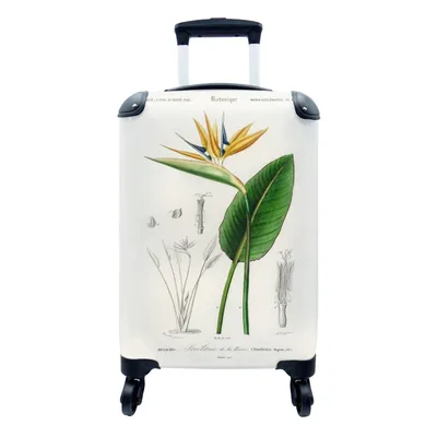 Produktbild von MuchoWow® Koffer Handgepäck Trolley Rollkoffer Kleine Reisekoffer mit 4 Rollen - Pflanze - Vintage - Blatt - Cabin Size < 55x40x23 cm & 55x40x20 cm - Fotokoffer - Kabinenkoffer - Boardgepäck - Reise-Box - Reisekoffer - Reisegepäck - Koffer mit Bild - Trolley für Kinder