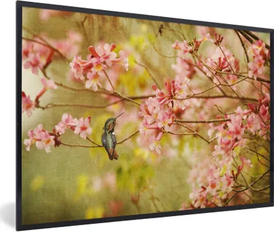 Produktbild von MuchoWow® Gerahmtes Poster Vogel - Kolibri - Blüte - Rosa 90x60 cm - Poster mit Schwarzem Bilderrahmen Wandposter Rahmen Foto Bilder - Fotorahmen - Foto-Plakat