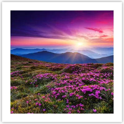 Produktbild von Poster - Poster ohne Rahmen - Wiese Berg Himmel Landschaft - 50x50 cm - Wand Bild - Wanddeko - Wandbilder - Kunstposter - Wandposter - Bilder - Kunstdruck - Wanddekoration - Wandbild - P2XAC50x50-2719