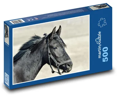 Obrázek produktu pro martinpuzzle - Puzzle 500 - Černý kůň