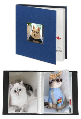 Productafbeelding van Fotoalbum 10x15 cm met 50 insteekhoezen, 2 pakketten, blauw