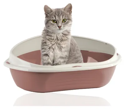 Produktbild von Rohrschneider Eckiges Katzenklo | Katzentoilette für große Katzen | Katzenklo mit hohem Rand | platzsparende Ecktoilette Katze | Katzenklo in modernen Design | Katzentoilette groß, Farbe:rosa