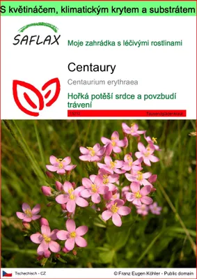 Obrázek produktu pro SAFLAX Garden to go - Centaury - Centaurium erythraea - 250 Semena - S květináčem, klimatickou poklicí a pěstebním substrátem