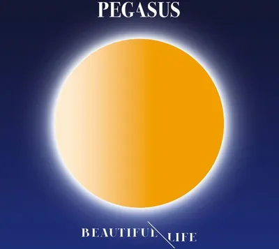 Produktbild von Beautiful Life