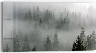Produktbild von DEQORI Glasbild Echtglas 60x30 cm 'Nebelwaldmystik' Wandbild Bild modern Deko