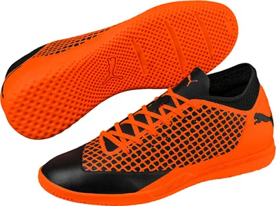 Produktbild von puma Fußballschuh FUTURE 2.4 IT