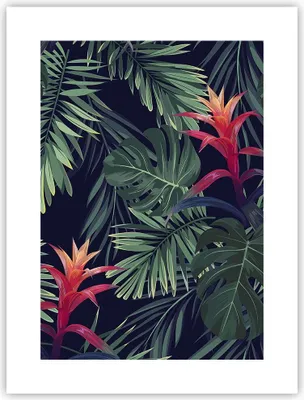 Produktbild von Poster - Poster ohne Rahmen - Exotisch Blumen Blätter - 30x40 cm - Wand Bild - Wanddeko - Wandbilder - Kunstposter - Wandposter - Bilder - Kunstdruck - Wanddekoration - Wandbild - P2XPA30x40-4308