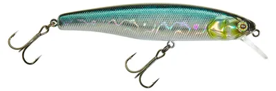 Produktbild von Illex Arnaud 100 F - Shine Katana