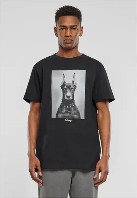 Obrázek produktu pro Pánské tričko Mr. Tee Dawg Tee black - M