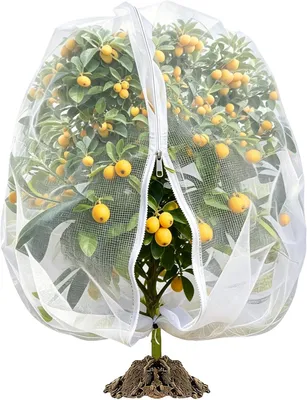 Obrázok produktu pre Sieť proti hmyzu 1.8 m x 1.8 m, pre kempovanie