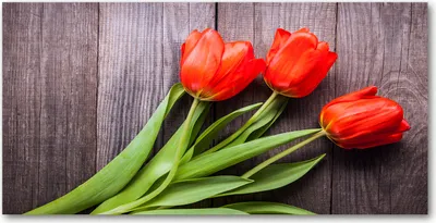 Produktbild von Tulup Glas-Bild -140x70- Wandkunst Dekorative Wand für Küche & Wohnzimmer - Blumen & Pflanzen - Rote Tulpen - Rot