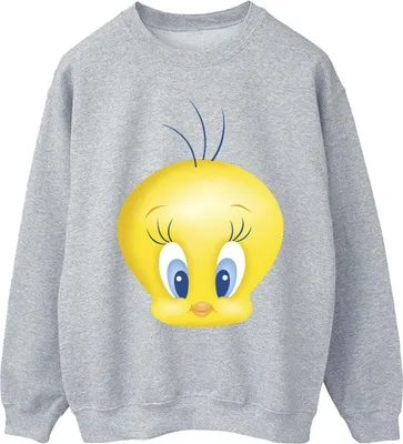 Immagine prodotto di Looney Tunes - Felpa da uomo BI33944 (S) (Grigio)