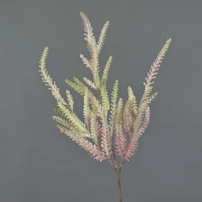 Produktbild von artplants.de Plastikblume Prachtspiere QIMEI, pink-grün, 70 cm - Künstliche Stielblume