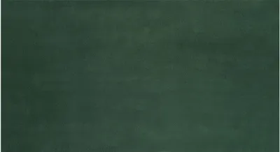 A plain, dark green textured background.