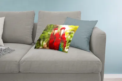 Produktbild von MuchoWow® Zierkissen Sofakissen Wohnzimmer Dekokissen 60x40 cm Papageien - Vögel - Dschungel - Kopfkissen - Polster mit Foto