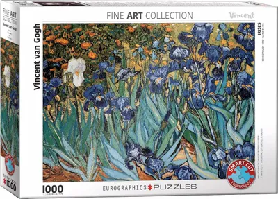 Image de EUROGRAPHICS Iris Puzzle 1000 pièces