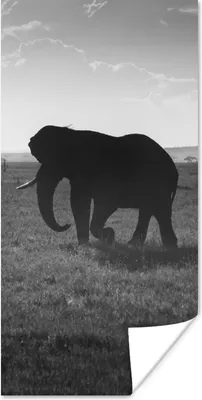 Produktbild von MuchoWow® Poster Silhouette eines Elefanten in der Serengeti in Schwarz und Weiß 60x120 cm - Wandschmuck