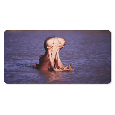Produktbild von MuchoWow® Schreibtischunterlage Nilpferd - Wasser - Schnabel 80x40 cm - XXL Mauspad - Gaming Mauspad
