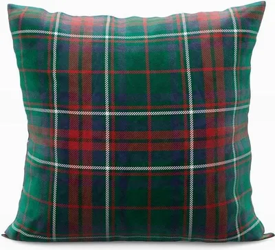 Image de MARKIZETA Taie d'oreiller décorative de Noël 40x40 velours vert scotch P00031/POP/002/040040/1