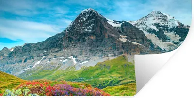 Produktbild von MuchoWow® Wandtattoo Wandsticker Wandaufkleber Blumen - Berge - Schnee - Landschaft 160x80 cm Selbstklebend und Repositionierbar - Sticker - Dekorfolie