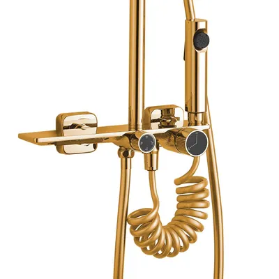 A close-up view of a gold-colored shower fixture with a coiled hose and spray nozzle.
