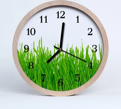 Produktbild von Holzuhr 30fi cm wanduhr - Gras
