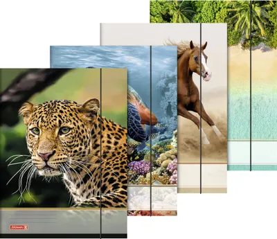 Produktbild von Sammelmappe A3 Tiere Gummizug
