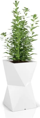 A white geometric planter with a green plant inside, set against a white background.