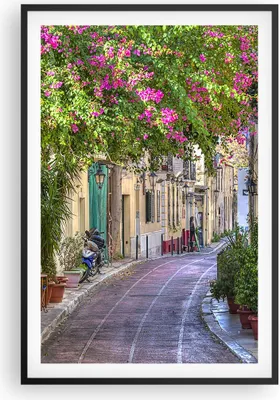 Produktbild von Gerahmtes Poster - Schwarzer Rahmen - Straße dekoration blumen griechenland - 61x91,5 cm - Wand Bild - Wanddeko - Wandbilder - Wandposter - Bilderrahmen - Bilder - Kunstdruck - P2BPA61x91-2429