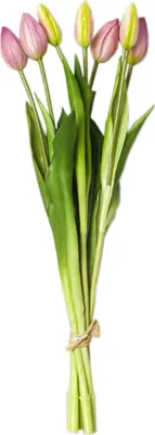 Image de Fleurs artificielles, fausses fleurs Bouquet de soie Tulipe Real Touch Mariage Bouquet pour jardin d'intérieur Parti Décor floral 7 Pcs (Rose)