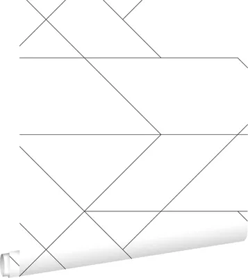 Immagine prodotto di ESTAhome carta da parati linee grafiche bianco e nero 53 cm x 10.05 m
