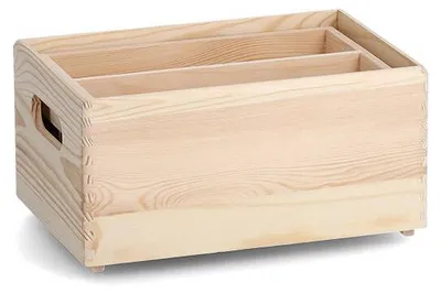 Produktbild von Aufbewahrungsbox mit herausnehmbaren Fächern, 30 x 20 x 15 cm
