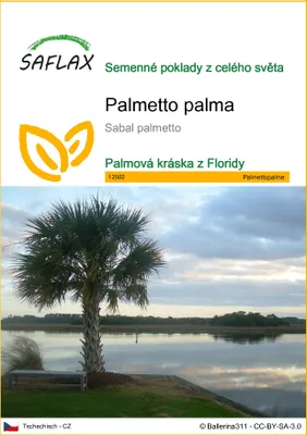 Obrázek produktu pro SAFLAX - palmetto palma - Sabal palmetto - 8 Semena