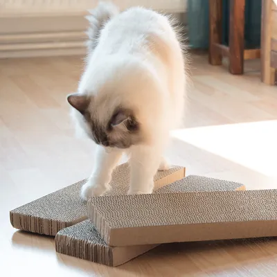 Produktbild von Navaris Katzen Kratzbrett 3er Set aus Karton - 41 x 13 x 3 cm Kratzpappe Kratzmatte - Kratz Pappe Katzenbrett für die Krallen Deiner Katze