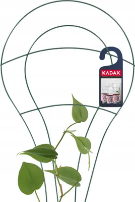 Image de Tuteur pour pot de fleurs - Échelle treillis - Acier - Pour plantes grimpantes - Vert