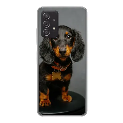 Produktbild von MuchoWow® Handyhülle Schutzhülle Hülle für Samsung Galaxy A53 5G Studiofoto eines Dackelwelpen Silikon Softcase Handy Hülle - Schutzabdeckung